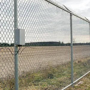 What Is a Perimeter Detection System?