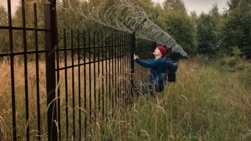 Perimeter Intrusion Detection Systems